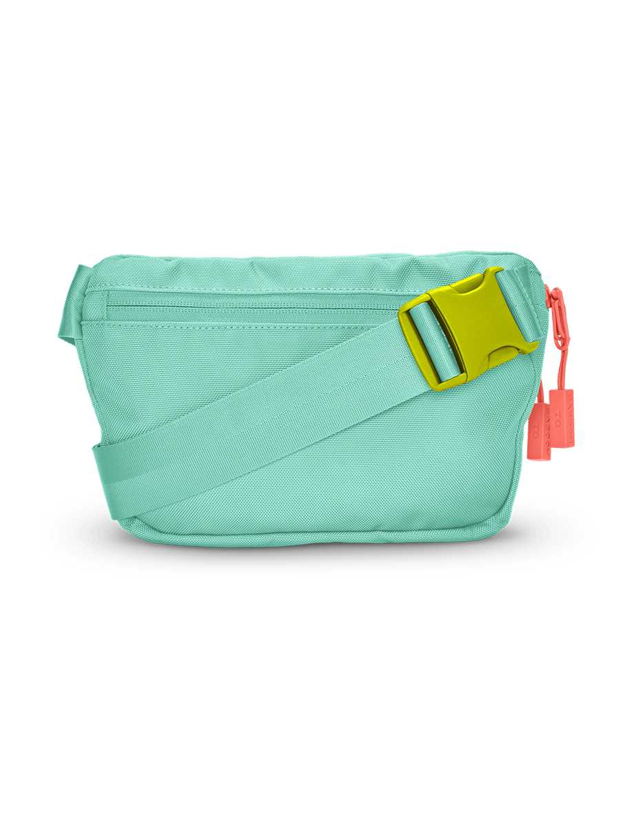 Fannypack (3L)