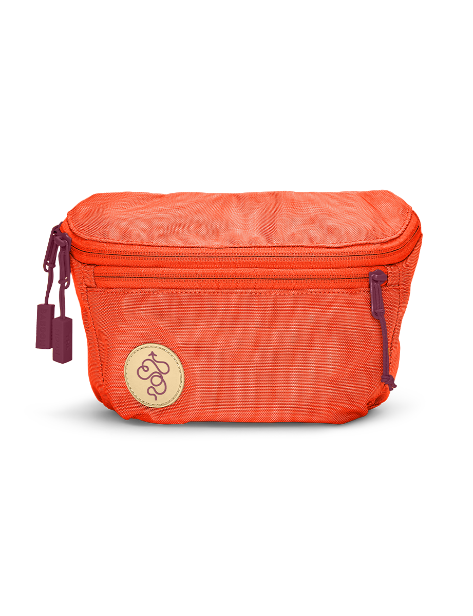 BABOON Fannypack (3L): For festivals, city adventures or